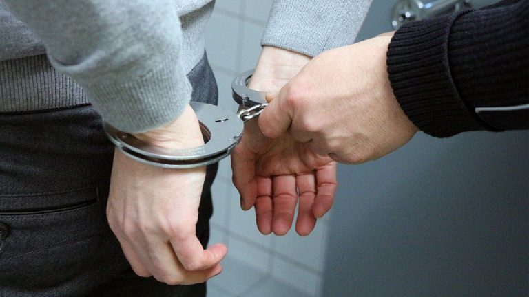 Germania : poliția a arestat un bărbat suspectat de trafic internaţional de narcotice pe internet