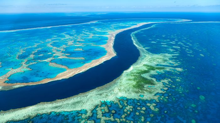 Guvernul australian a blocat un proiect minier ce ameninţa Marea Barieră de Corali