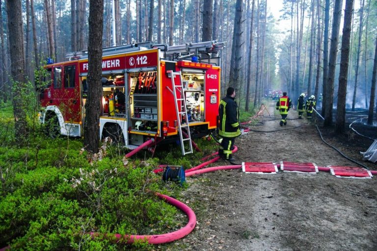 Incendiu de pădure într-un parc naţional din Germania! Flăcările au scăpat de sub control
