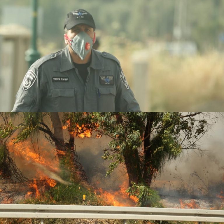 Temperaturile record din Israel alimentează incendiile de vegetaţie – FOTO/VIDEO