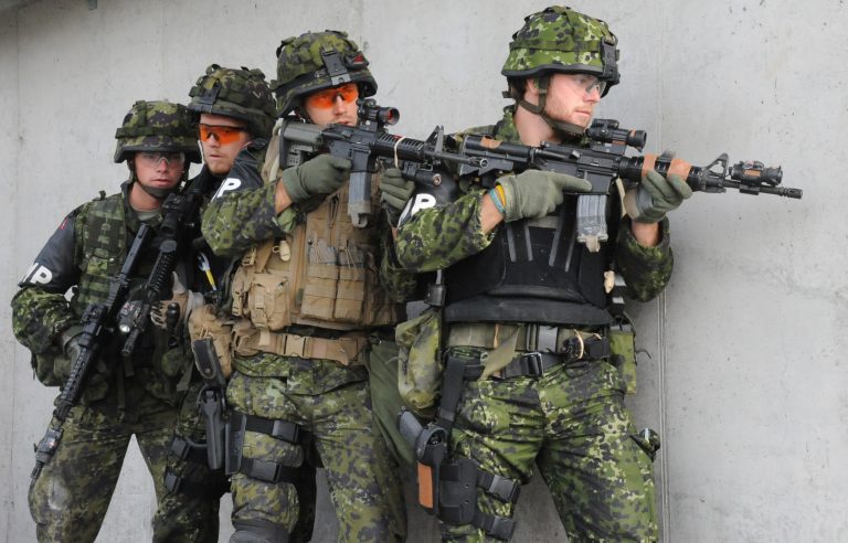Danemarca este gata să trimită un batalion de 800 de soldaţi în statele baltice