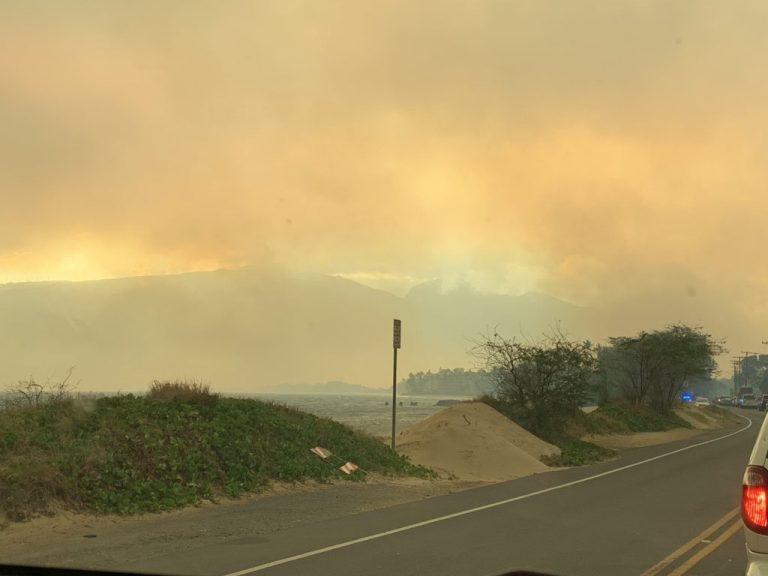 Stare de urgenţă pe Insula Maui din Hawaii din cauza incendiilor de vegetaţie