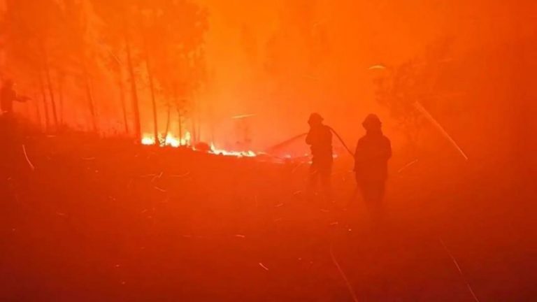 Incendiile de vegetaţie pârjolesc o regiune mlăştinoasă din Bolivia
