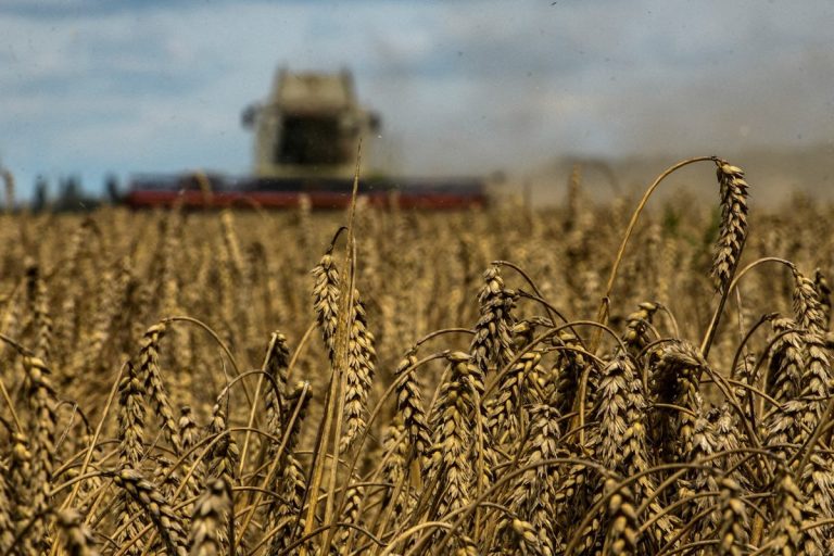 UE prelungește importurile agricole fără taxe din Moldova și Ucraina, în ciuda protestelor fermierilor