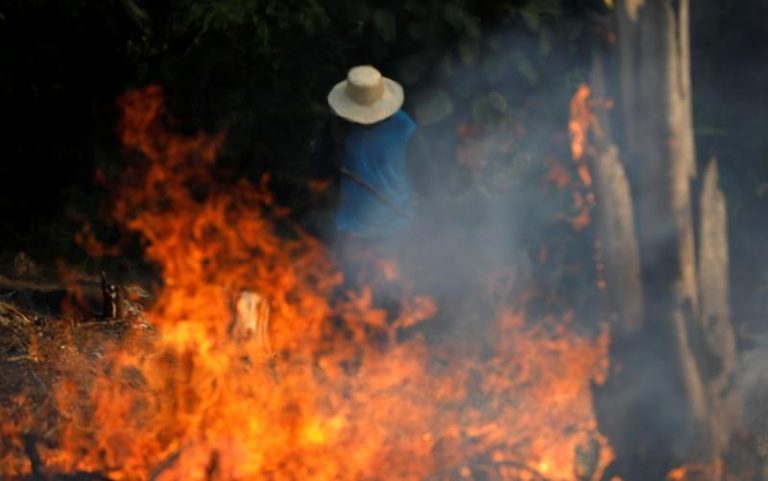 Seceta și defrișările din Brazilia au favorizat semnificativ incendiile de pădure