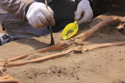 Peste 11 mii de situri arheologice vor fi incluse în Registrul arheologic național