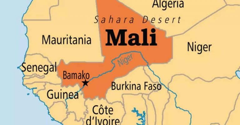 Ţările vest-africane îşi închid graniţele cu Mali
