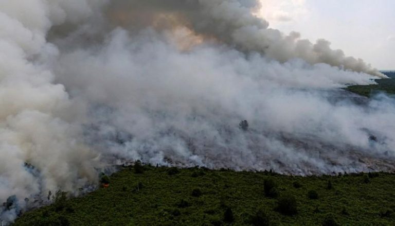 O erupţie vulcanică a declanşat un incendiu forestier în estul Indoneziei