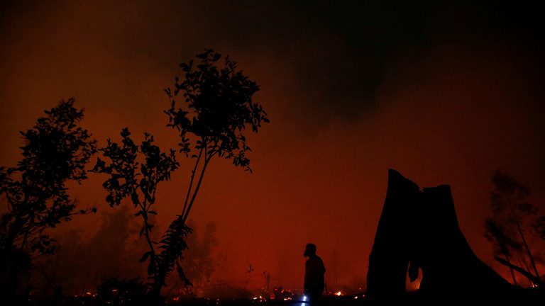 Indonezia, PĂRJOLITĂ de incendii! Suprafaţa distrusă este mai mare decât cea a Danemarcei!