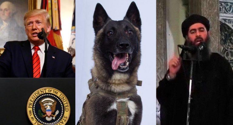 Trump face celebru un câine care l-a hăituit pe al-Baghdadi