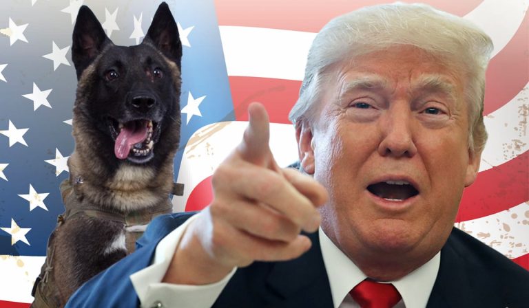 Trump l-a decorat pe câinele armatei SUA care a participat la raidul asupra lui al-Bagdadi