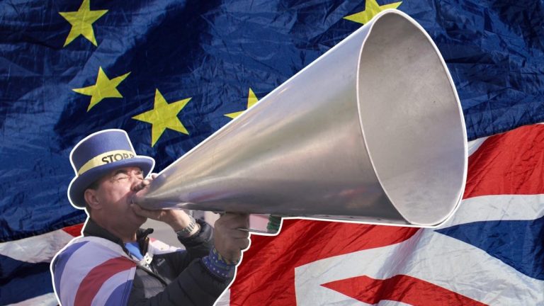 ‘Mr Stop Brexit’ va candida la alegerile din UK