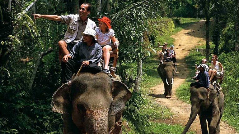 Cambodgia INTERZICE distracţia turiştilor pe CÂRCA elefanţilor