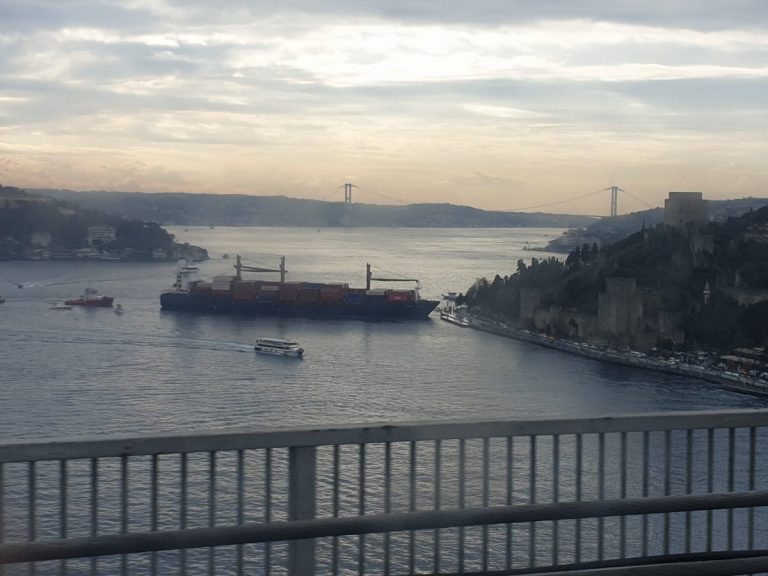 Un vapor cargo S-A IZBIT de țărm în Istanbul (VIDEO). Strâmtoarea Bosfor a fost ÎNCHISĂ!