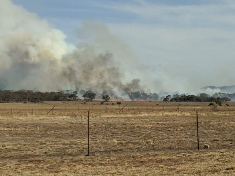 Autorităţile australiene anunţă lichidarea incendiilor de vegetaţie