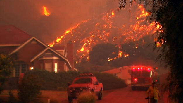 Incendii APOCALIPTICE în California. 23 de morţi şi aproape 300 de persoane sunt dispărute