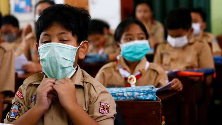 Coronavirusuri înrudite cu SARS infectează anual circa 66.000 de persoane în Asia de Sud-Est