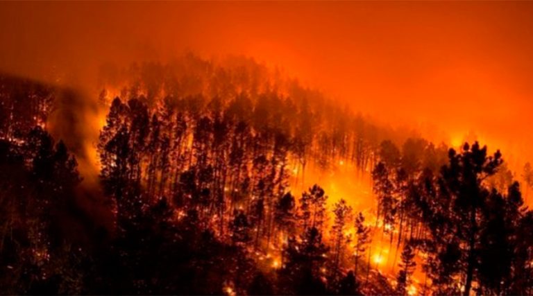 Portugalia: Peste 700 de pompieri au fost mobilizaţi pentru a stinge un incendiu de pădure în zona montană Sintra