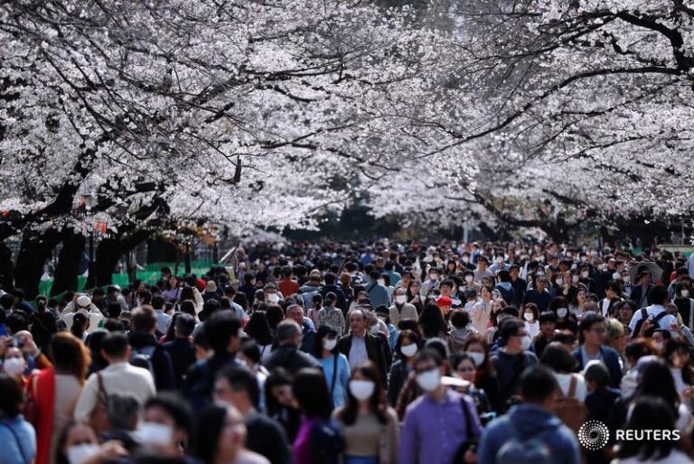 Japonia înregistrează cel mai timpuriu vârf al sezonului florilor de cireş de după anul 812 e.n.