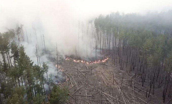 Kievul anunță STINGEREA incendiilor de pădure de la Cernobîl