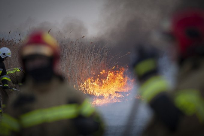 Pompierii polonezi se luptă cu un incendiu masiv de vegetaţie în Parcul Naţional Biebrza – FOTO/VIDEO