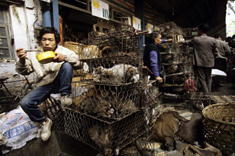 SUA cer Chinei să închidă DEFINTIV pieţele de animale vii