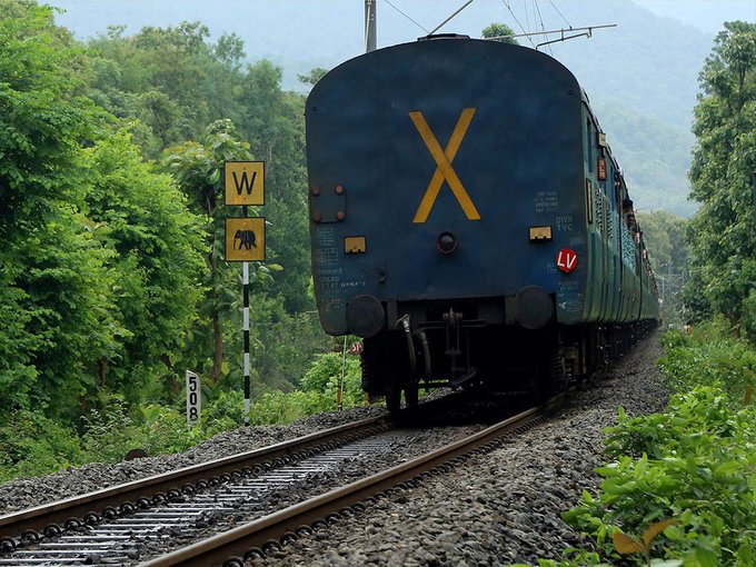 16 indieni au fost SPULBERAŢI de tren după ce au adormit pe calea ferată – VIDEO