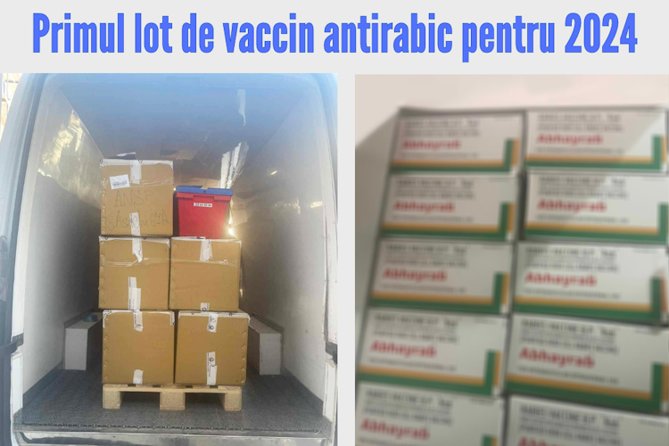 CNAM: 940 de mii de lei pentru achiziționarea primului lot de vaccin antirabic