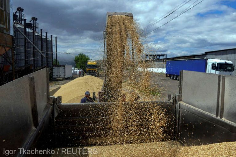 Recolta de cereale şi oleaginoase a Ucrainei în 2023 este estimată la 59,7 milioane de tone
