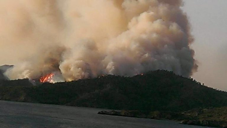 Incendiu forestier în apropierea unui oraş turistic din sud-vestul Turciei