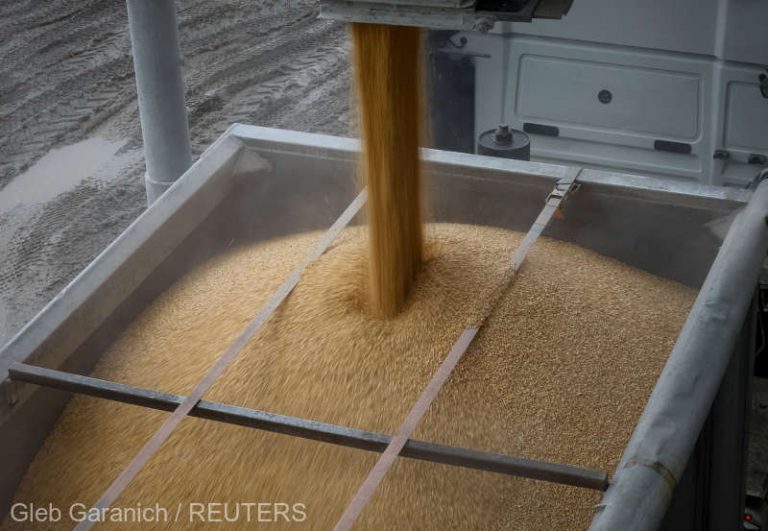 România şi alte patru ţări UE cer taxe de import pentru cerealele din Ucraina