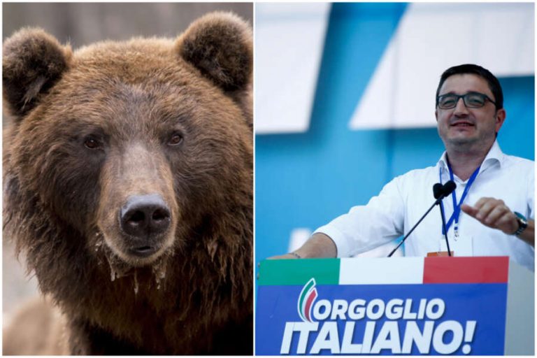Sute de italieni au protestat pentru eliberarea unui urs care a ucis un tânăr alergător