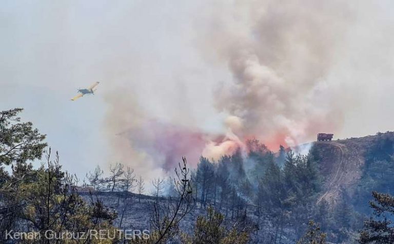 Un incendiu de pădure din sudul Turciei a fost adus sub control după două zile