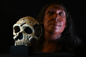 Chipul unei femei de Neanderthal care a trăit acum 75.000 de ani a fost recreat pe baza unui craniu 1 2 14