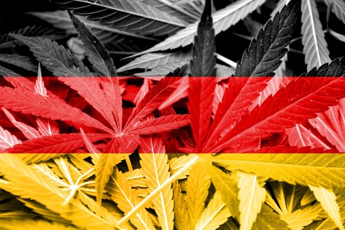 Germania aprobă legalizarea parţială a canabisului