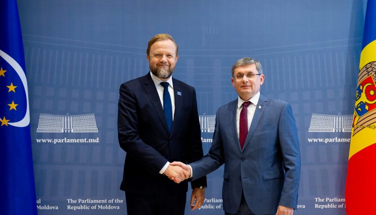 Președintele Parlamentului s-a întâlnit cu Secretarul general adjunct al Consiliului Europei