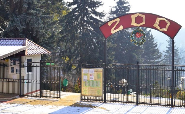 De ziua lor, toţi copiii vor intra gratuit la Grădina Zoologică din Chișinău