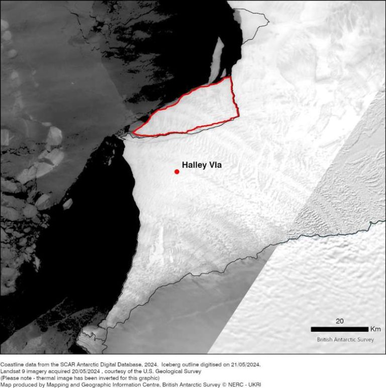 Un aisberg de mari dimensiuni s-a desprins din Antarctica