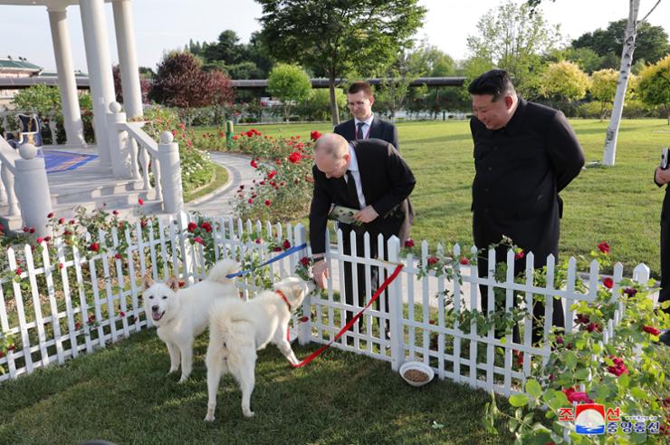 Kim Jong Un i-a dăruit lui Putin doi câini Pungsan
