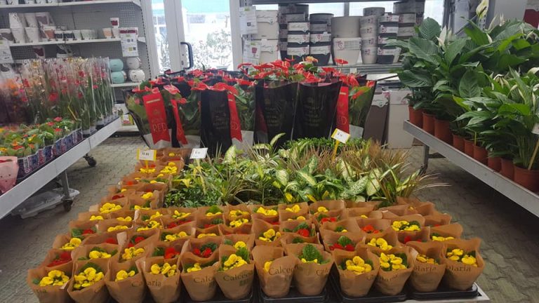 UE a exportat anul trecut bulbi de flori în valoare de 100,6 milioane de euro