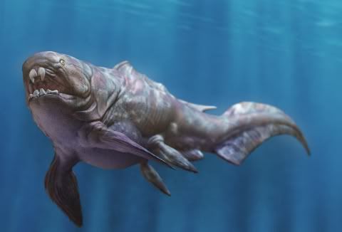 O inimă de peşte cu o vechime de 380 de milioane de ani este cea mai veche descoperită vreodată