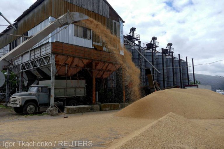 Rusia ar putea majora taxele la exporturile de grâu
