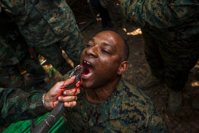 Militarii americani au băut sânge de cobra în Thailanda