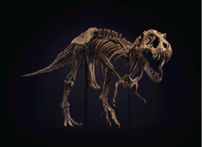 Christie’s renunţă la vânzarea la licitaţie a unui schelet de dinozaur