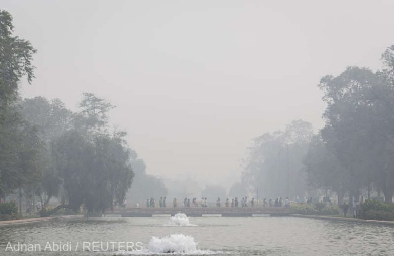 Smogul face ravagii în capitala Indiei