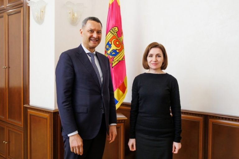Maia Sandu a discutat cu şeful Oficiului Consiliului Europei la Chişinău