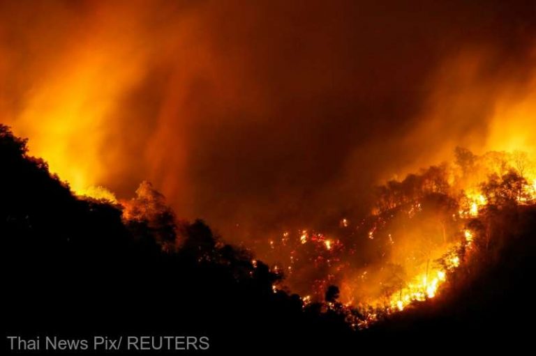 Pompierii thailandezi se luptă cu un masiv incendiu de pădure care ameninţă Capitala