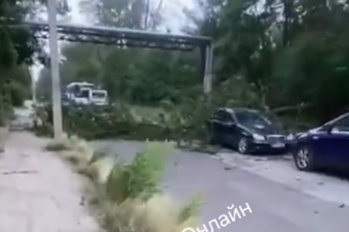 FOTO Vremea face ravagii la Bălți. Copaci prăbușiți și acoperișuri smulse 2 Balti 1