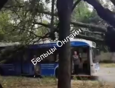 FOTO Vremea face ravagii la Bălți. Copaci prăbușiți și acoperișuri smulse 1 Balti