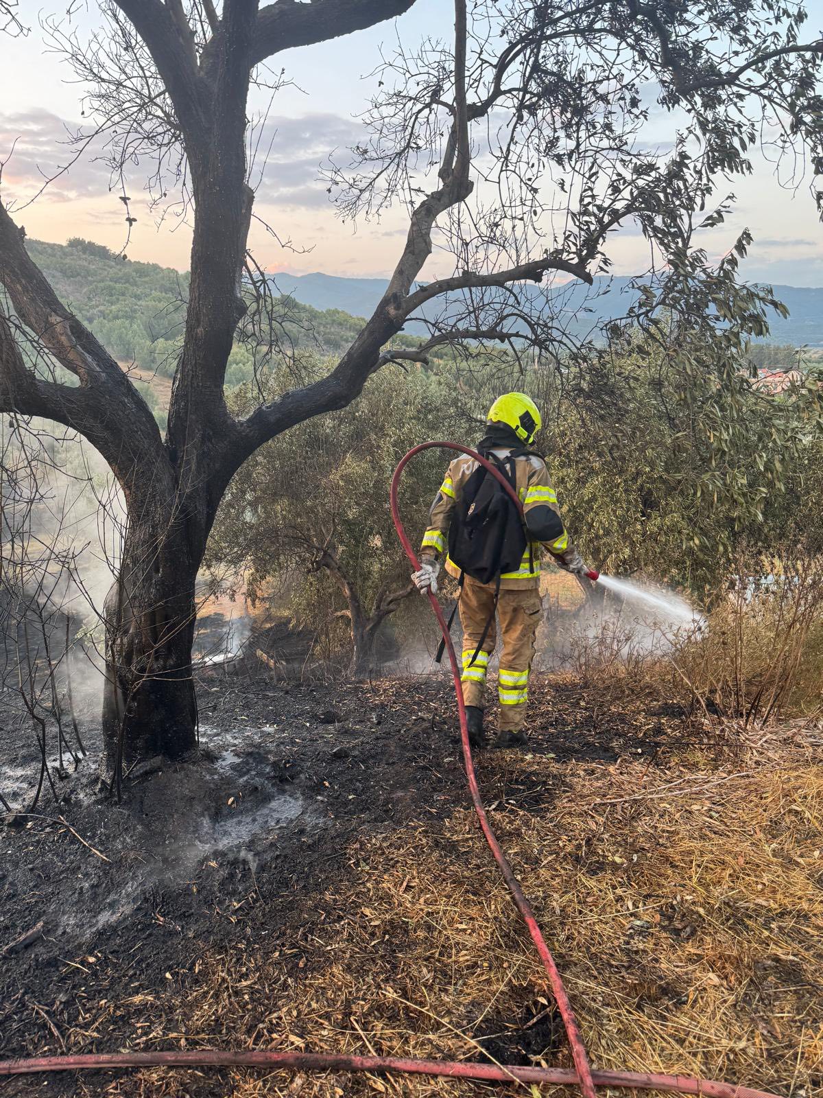 Pompierii moldoveni sunt implicați activ la stingerea incendiilor de vegetație din Grecia 2 pompieri Grecia 3